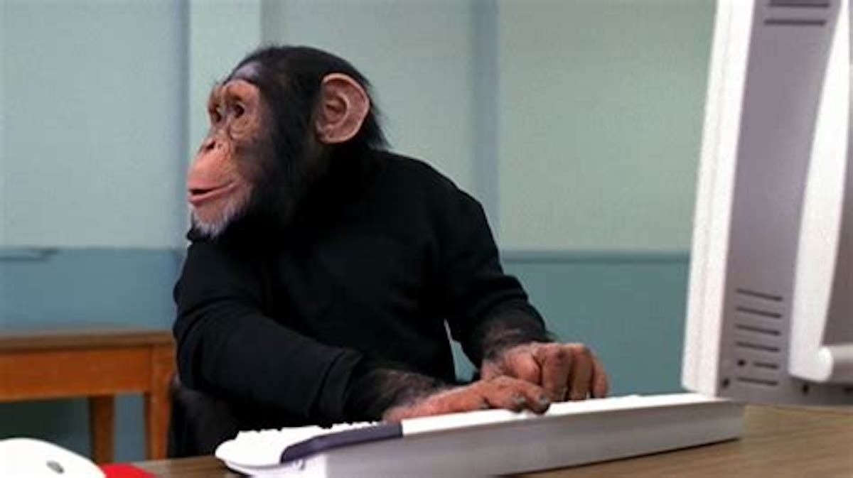 computer chimp